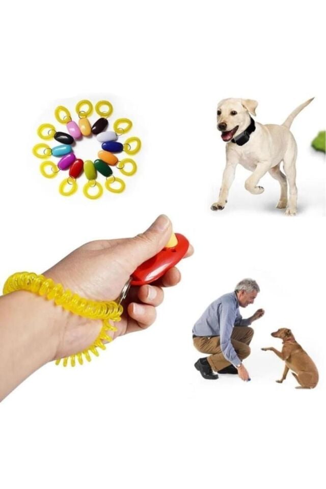 Pet Köpek Eğitim Oyuncağı Düğmesi Training Clicker Kedi Kuş Eğitimi Klikeri Ses Düdük