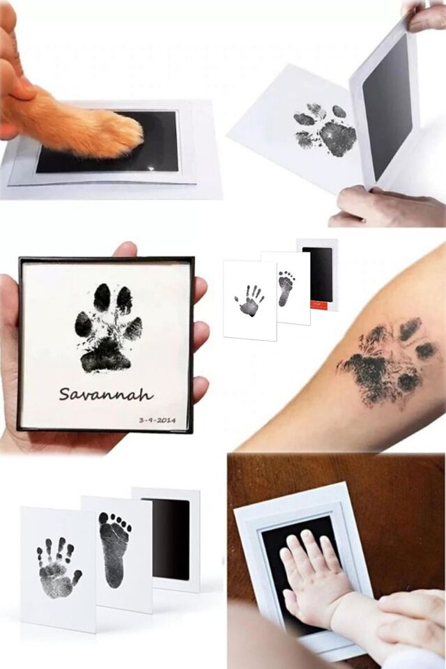 Evcil Hayvan Pati Izi Seti Toksik Olmayan Mürekkepsiz Baskı Kiti Kedi Köpek Için Uygun