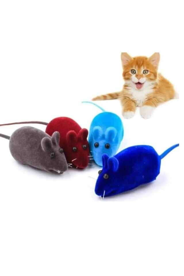 2 Adet Cikcik Öten Kedi Oyuncağı Fare Eğitim Kedi Vakit Geçirici Eğitici Oyucak Oyun Faresi Sesli