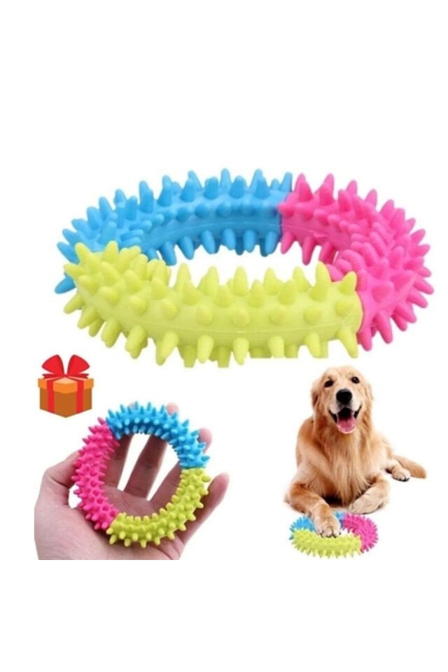 Kedi Köpek Diş Kaşıma Çemberi Isırma Kaşıma Oyuncağı