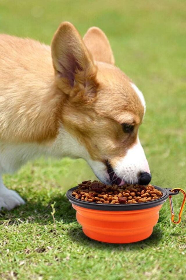 Katlanabilir Silikon Seyehat Pratik Köpek Kedi Mama ve Su Kabı Taşıma Aparatlı Yemek Su Tası