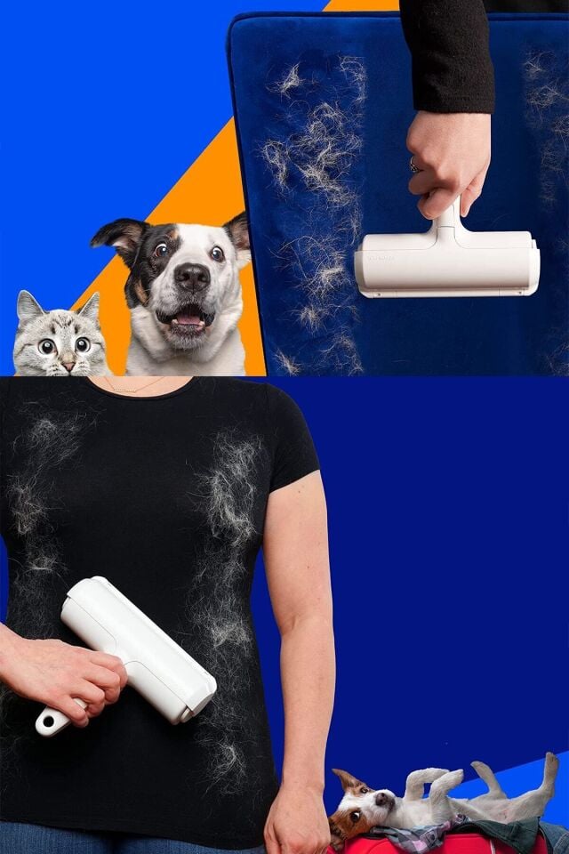 Hazneli Kedi Köpek Evcil Hayvan Tüy Kıl Temizleme Aleti Toz Toplayıcı Sihirli Gırgır