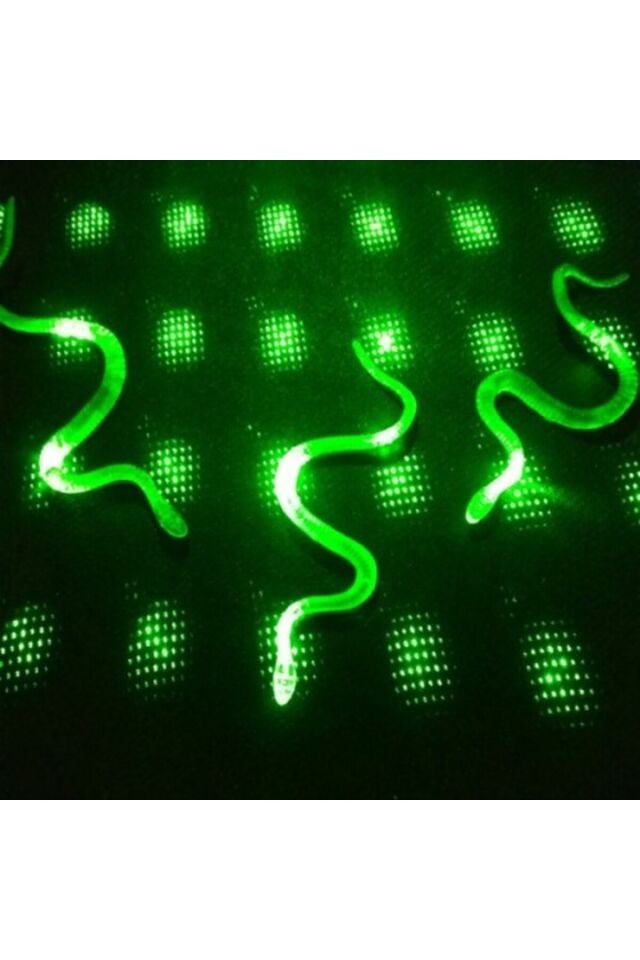 CLZ192 Yılan Kırkayak Şaka Oyuncağı 36 Adet