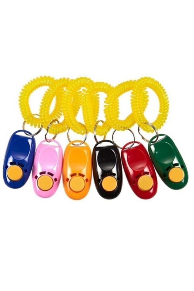 Köpek Eğitimi Için Clicker Köpeğinizi Kolayca Eğitin