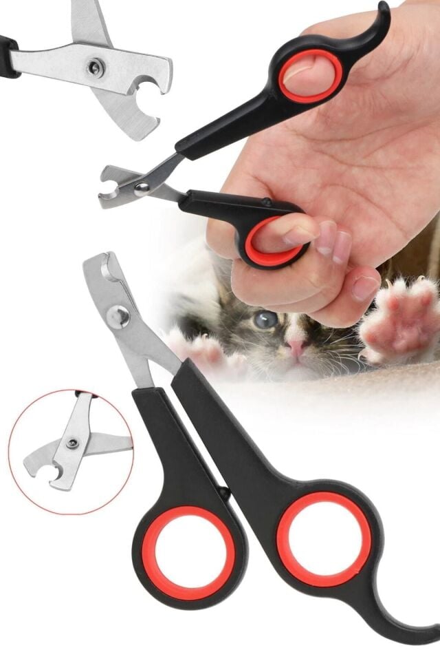 Profesyonel Kuş Tüm Hayvanlara Uygun Tırnak Makası Köpek Ve Kediler Için Evcil Hayvan Ve Yavru 12 Cm