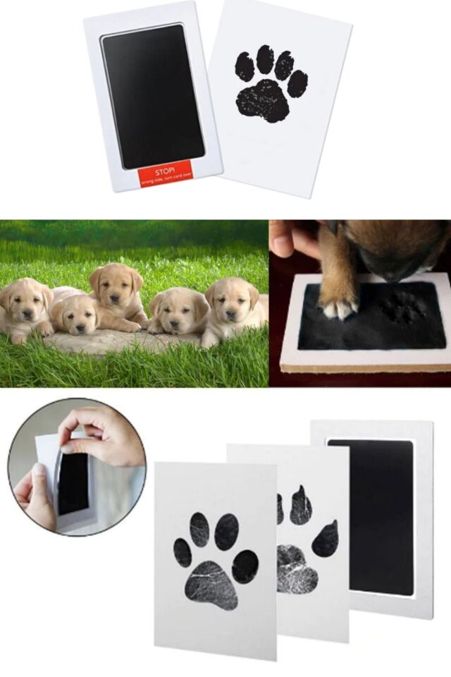 Evcil Hayvanlarda Da Kullanılabilir Pati-el-ayak Hatıra Kiti Bebekler Ve Evcil Dostlar Için Baskı