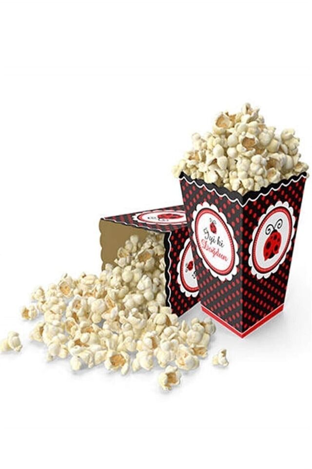 8'li Mısır Kutusu Uğur Böceği M112