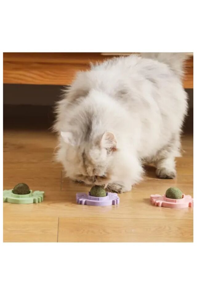 Yengeç Model Doğal Catnipli Kedi Nanesi Otu Oyun Topu Oyuncağı