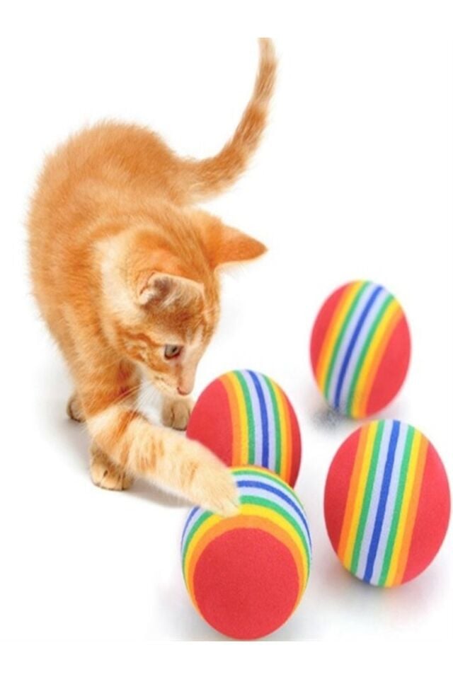 Kedi Köpek Çiğneme Ve Oyun Topu Gökkuşağı Desenli 4 Adet