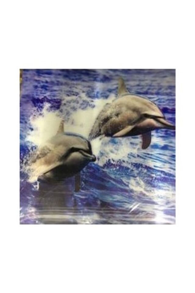 Yunus Balığı 3d Tablo