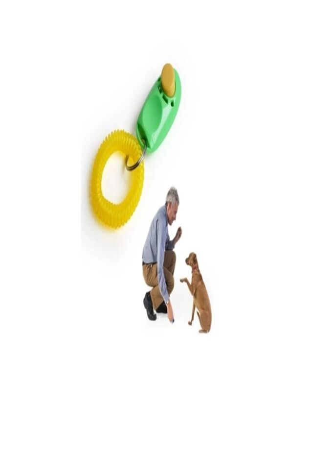 Köpek Eğitim Aleti Evcil Hayvan Köpek Düdük Eğitimi