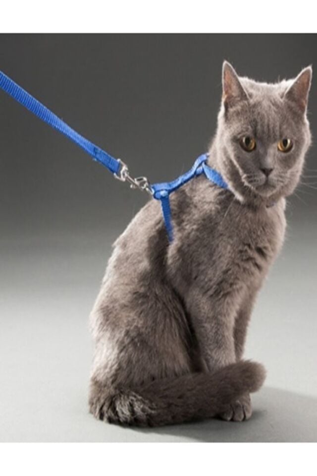 Ayarlanabilir Kedi Tasması 120 Cm Gezdirme Dolaştırma Ipi Tasması Göğüs Bağlantılı Rahat Bağlama