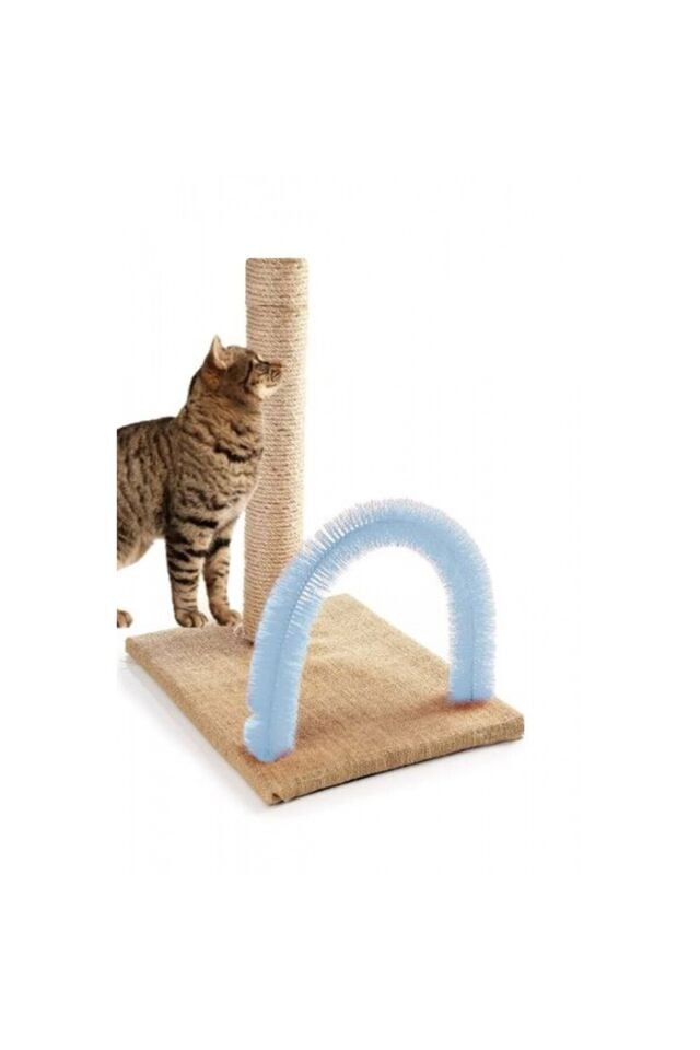 Kedi Tırmalama Kaşınma Fırçalı